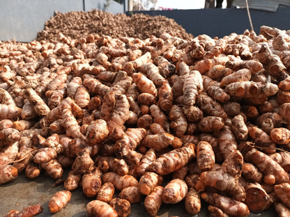 Lakadong Turmeric: Nature's Golden Elixir - 100g